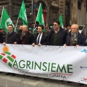 Imu agricola, monta la protesta. Agrinsieme: “Cancellate quella tassa”