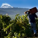 Imu, Agrinsieme Catania “Non possiamo pagare una tassa ingiusta”