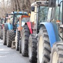 Il 23 febbraio mobilitazione generale di Agrinsieme Catania contro l’Imu agricola