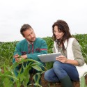 Agevolazioni per i giovani in agricoltura, via al nuovo regime di aiuto ISMEA