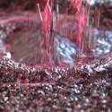 Vini e mosti, dichiarazioni di giacenza da presentare entro il 10 settembre 2015